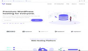 Hosting Website